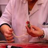 La troviamo in un angolo mentre modella sorridente un �torcinello�, la budella con cui avvolger� gli nghiemeridde